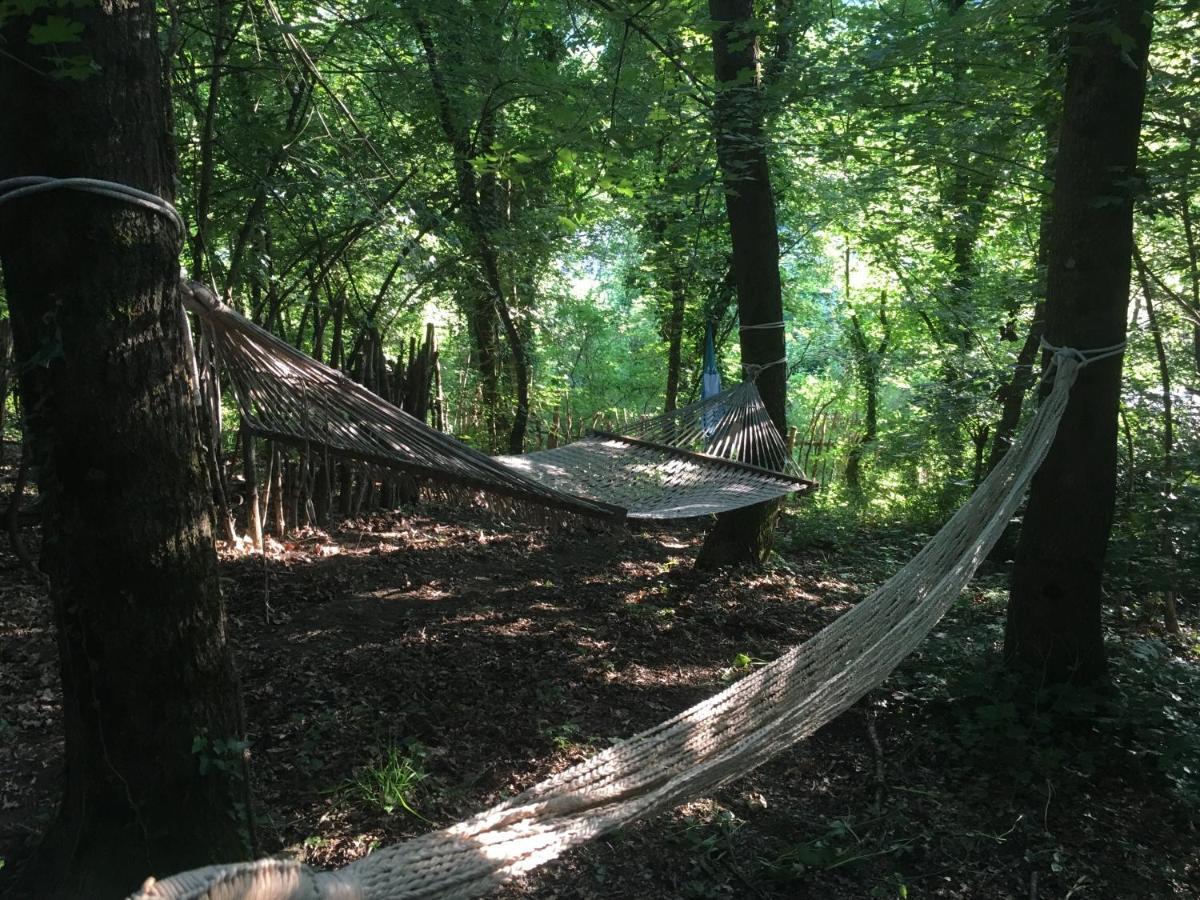 Villa Baronzola Montevarchi Buitenkant foto