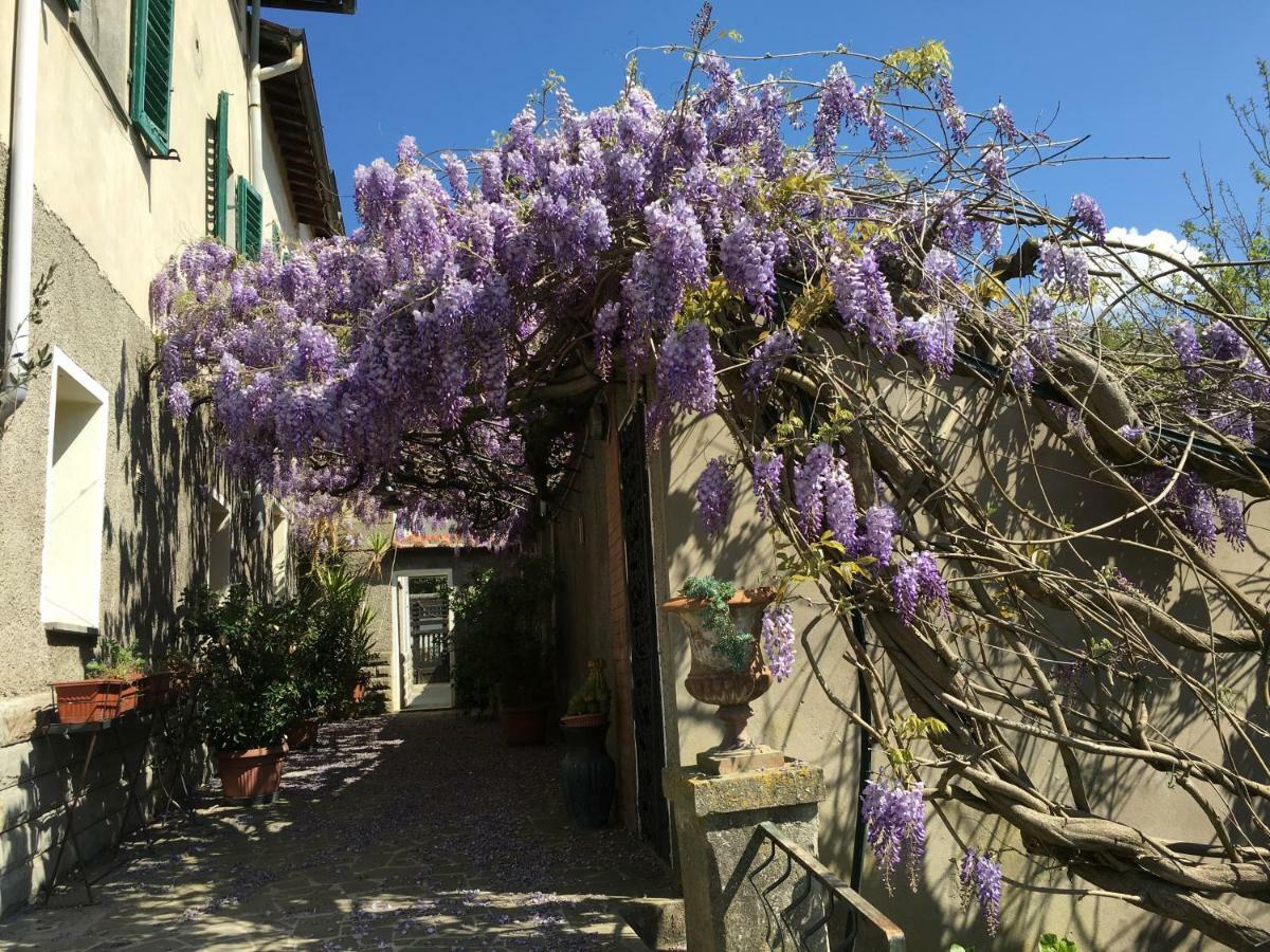 Villa Baronzola Montevarchi Buitenkant foto