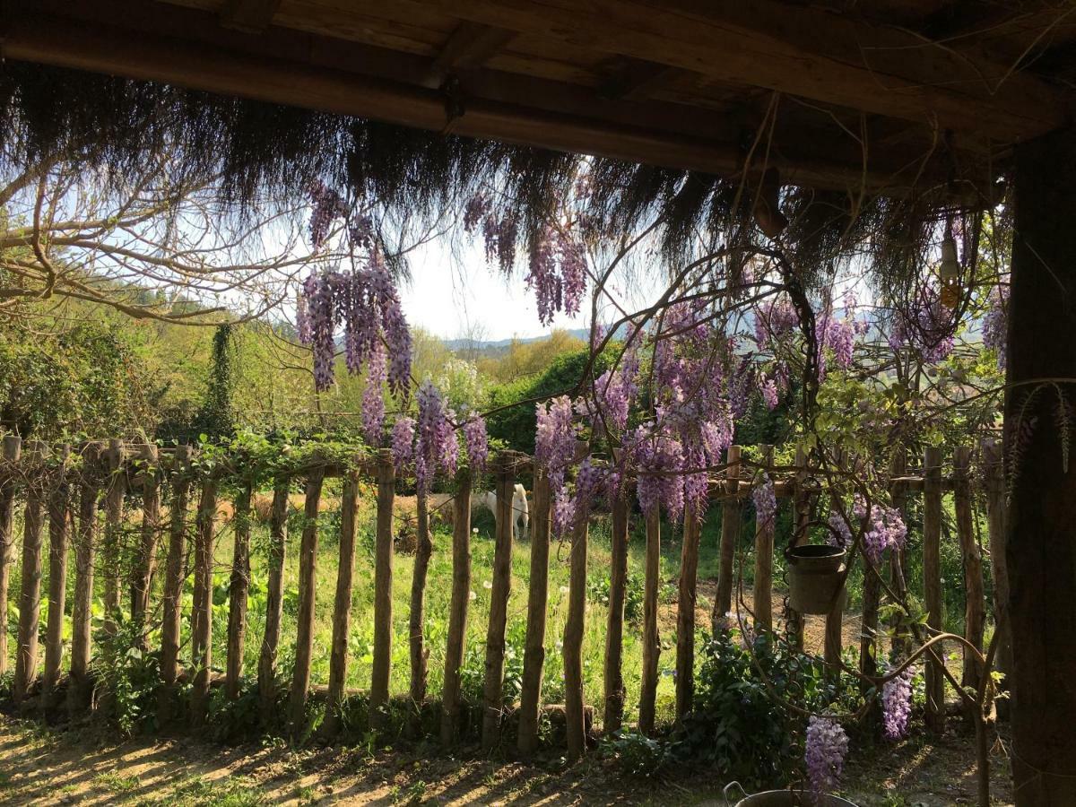 Villa Baronzola Montevarchi Buitenkant foto